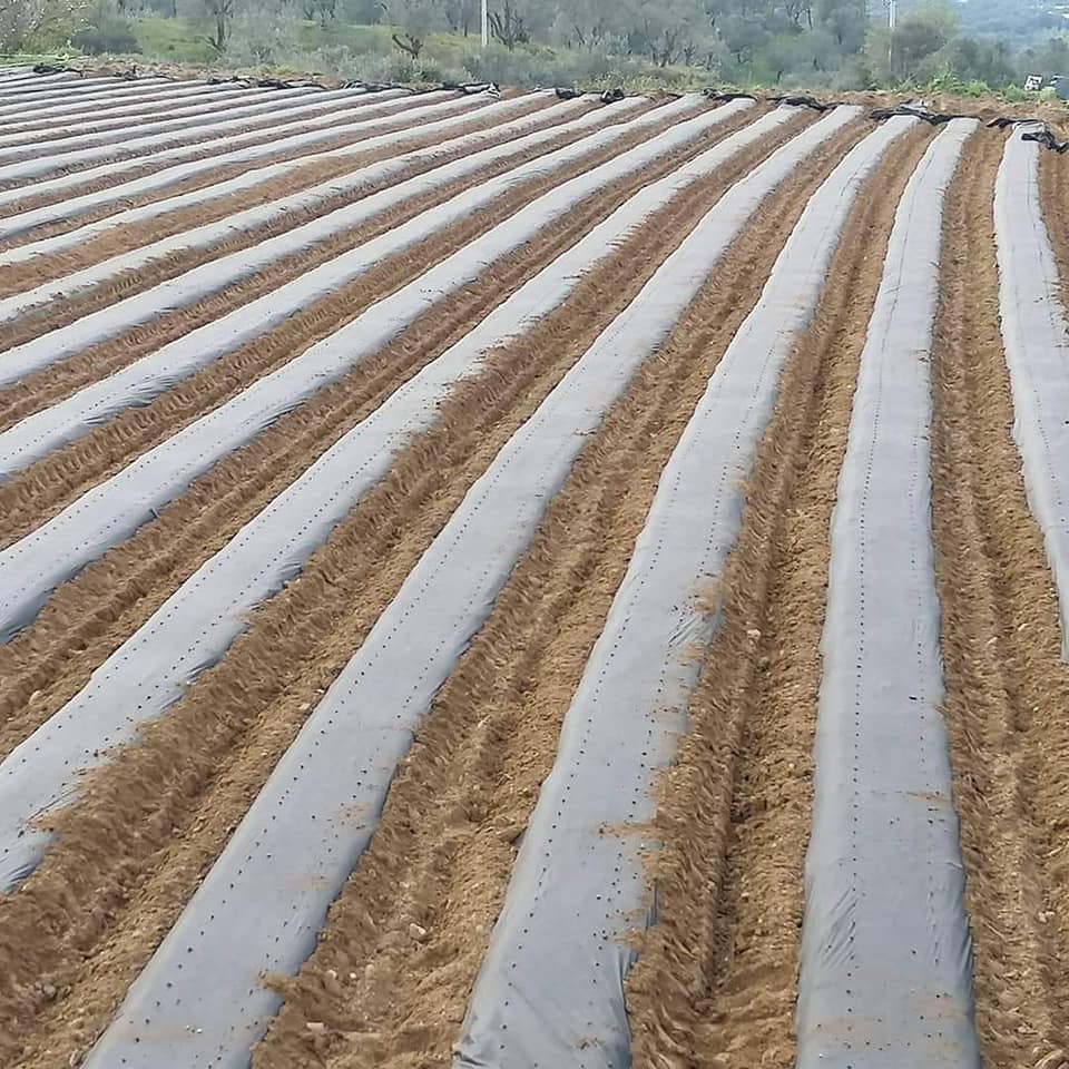 Malçlamanın faydaları